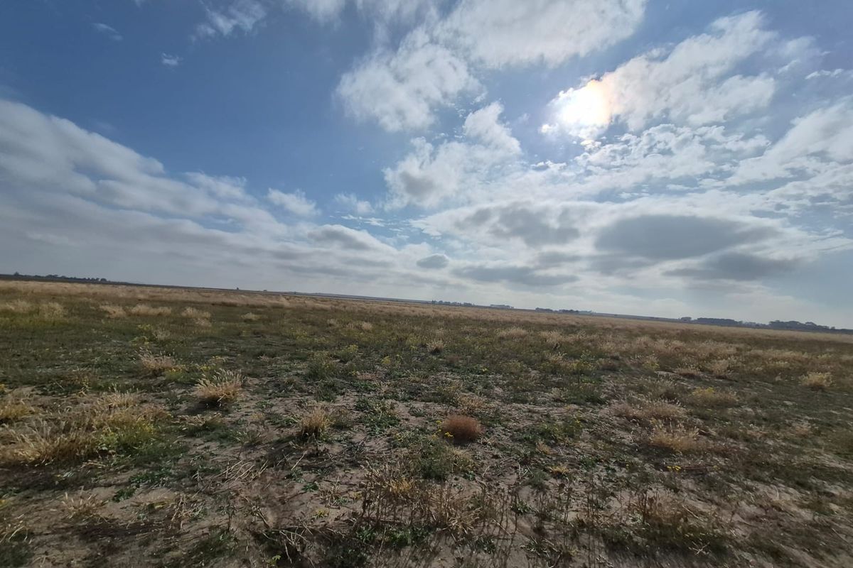A wide-angle view of the expansive, open farmland landscape under a bright, cloudy sky.