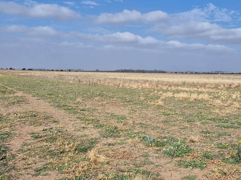 Expansive view of open farmland and pasture under a clear blue sky, showcasing the property's vast agricultural potential.