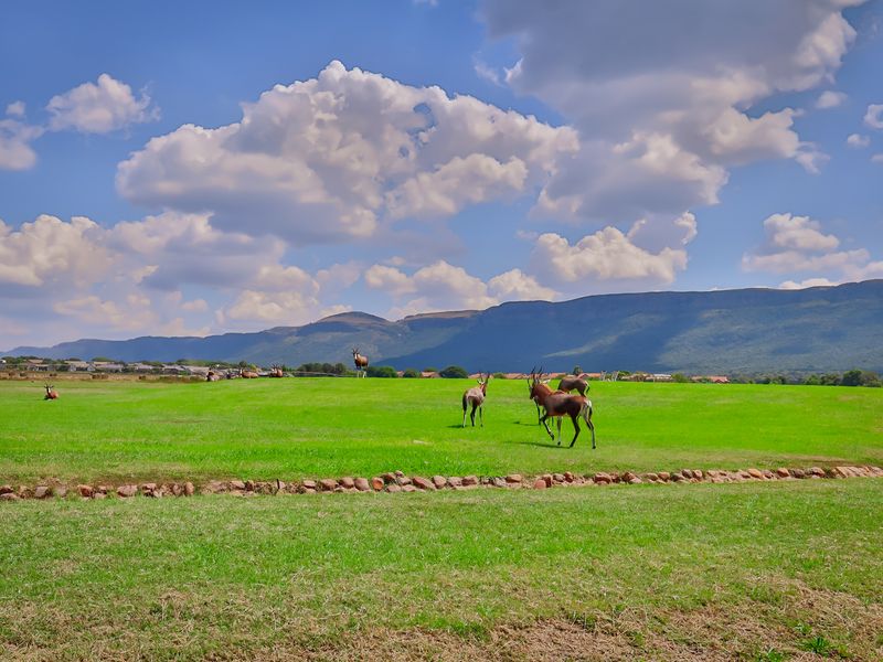 A scenic view of an expansive green field with a stone retaining wall, set against a backdrop of rolling mountains and a clear sky.