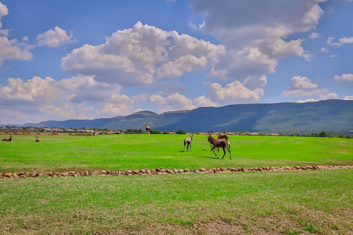 A scenic view of an expansive green field with a stone retaining wall, set against a backdrop of rolling mountains and a clear sky.