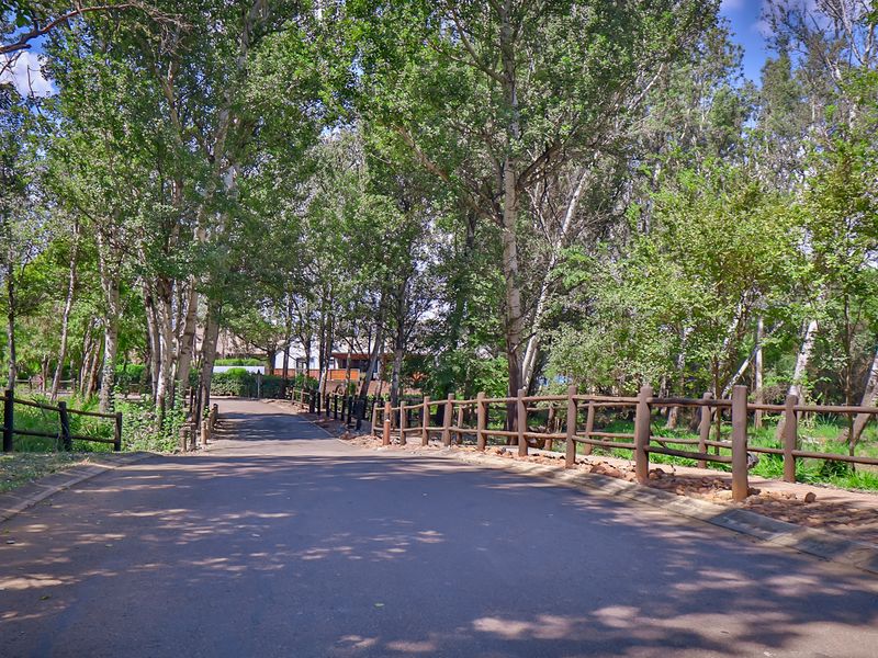 A paved access road lined with mature trees and timber fencing, providing a scenic approach to the industrial property.