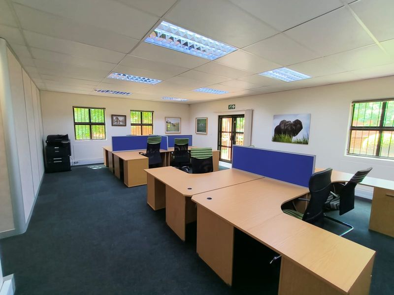 A functional office space featuring suspended ceilings, recessed lighting, and large windows with security bars, providing a professional work environment.