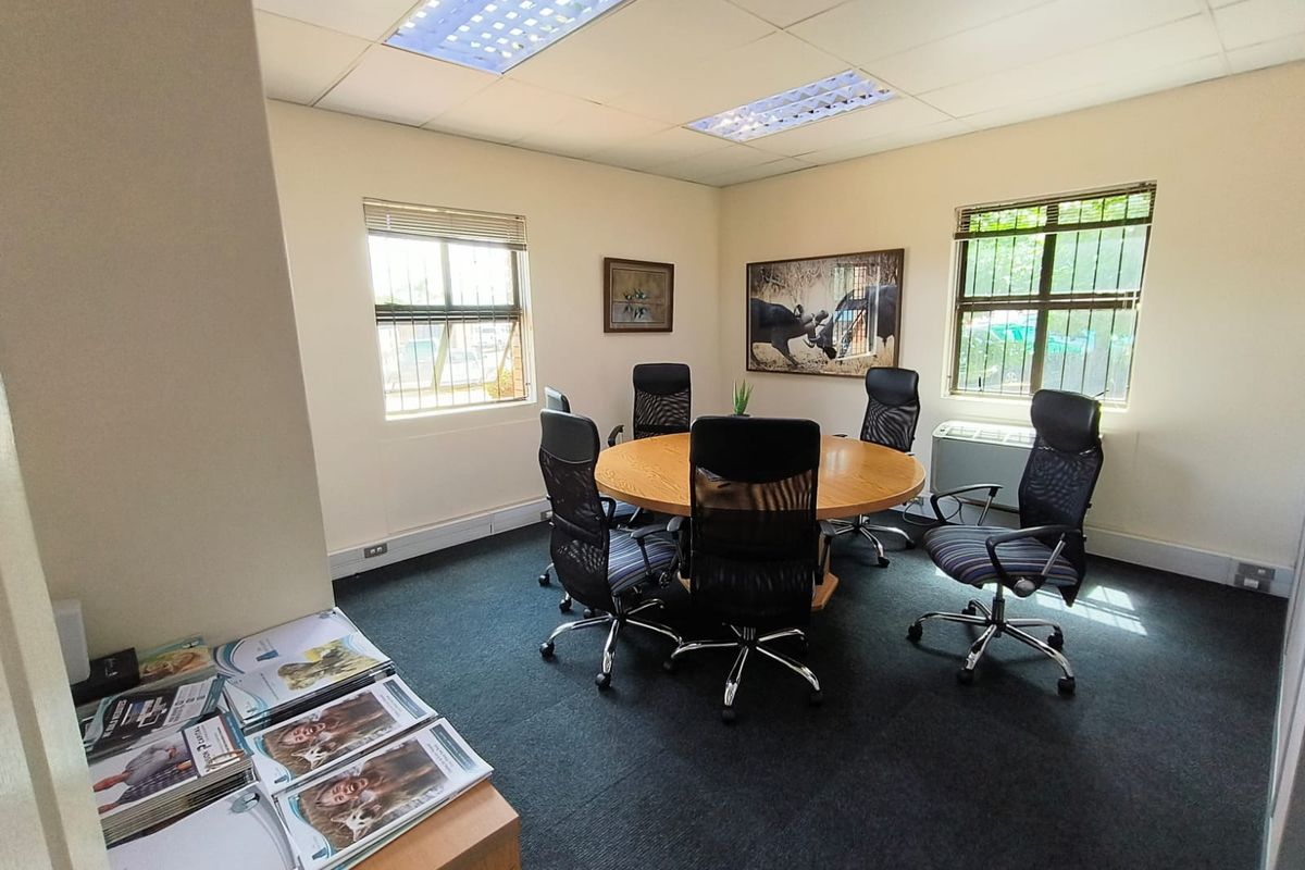 A functional office space featuring recessed lighting, carpeted flooring, and dual windows with security bars, providing a professional environment for meetings or workspace.