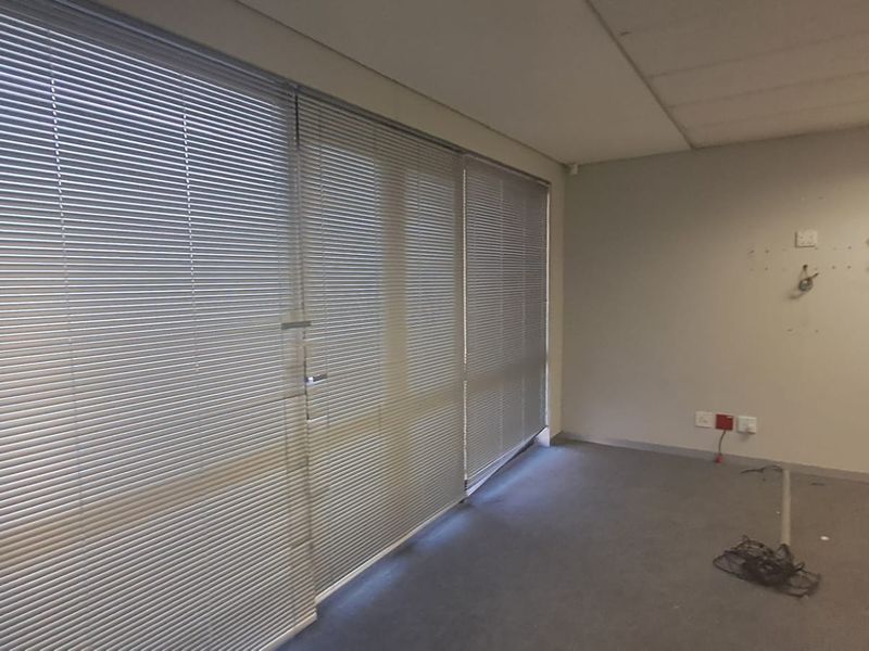 An empty office space featuring carpet flooring, a suspended ceiling with recessed lighting, and large windows fitted with venetian blinds.