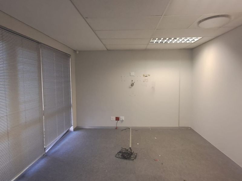 An empty office space featuring carpet flooring, a suspended ceiling with recessed lighting, and large windows fitted with venetian blinds.