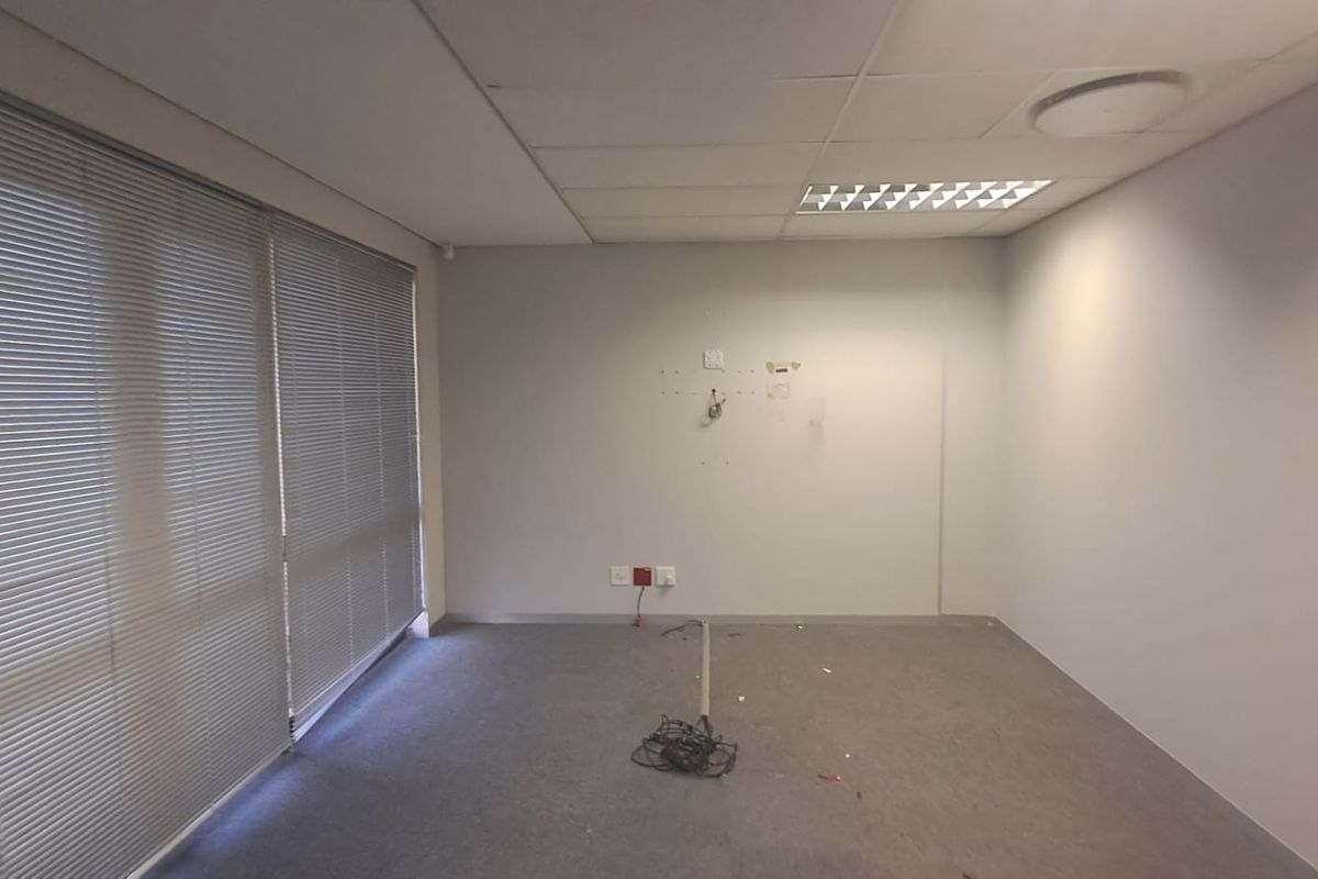An empty office space featuring carpet flooring, a suspended ceiling with recessed lighting, and large windows fitted with venetian blinds.