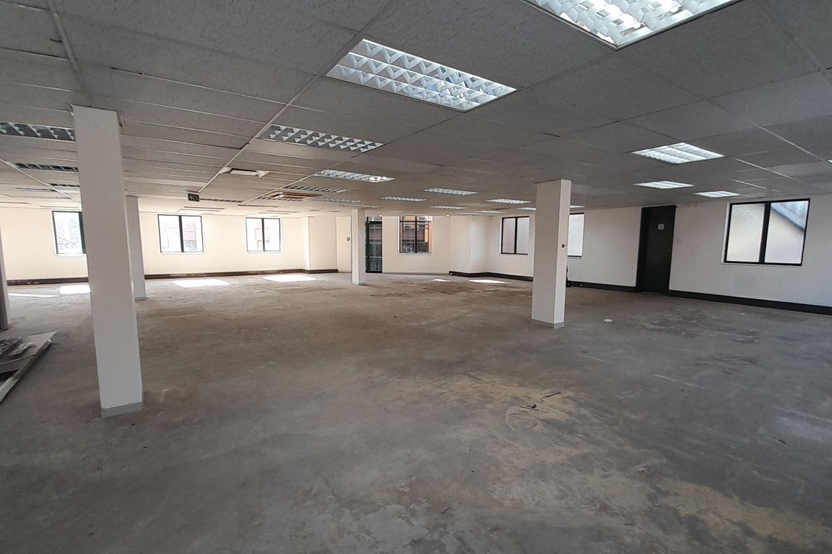 A large, open-plan office space featuring a suspended ceiling with recessed lighting, structural columns, and unfinished concrete flooring, ready for custom fit-out.
