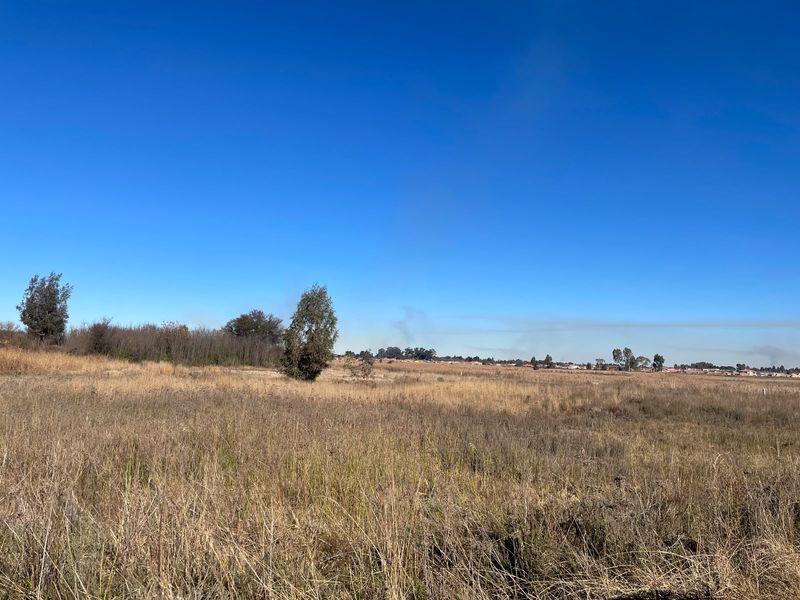 A wide-angle view of a vacant commercial land plot featuring natural grass and scattered trees under a clear blue sky.
