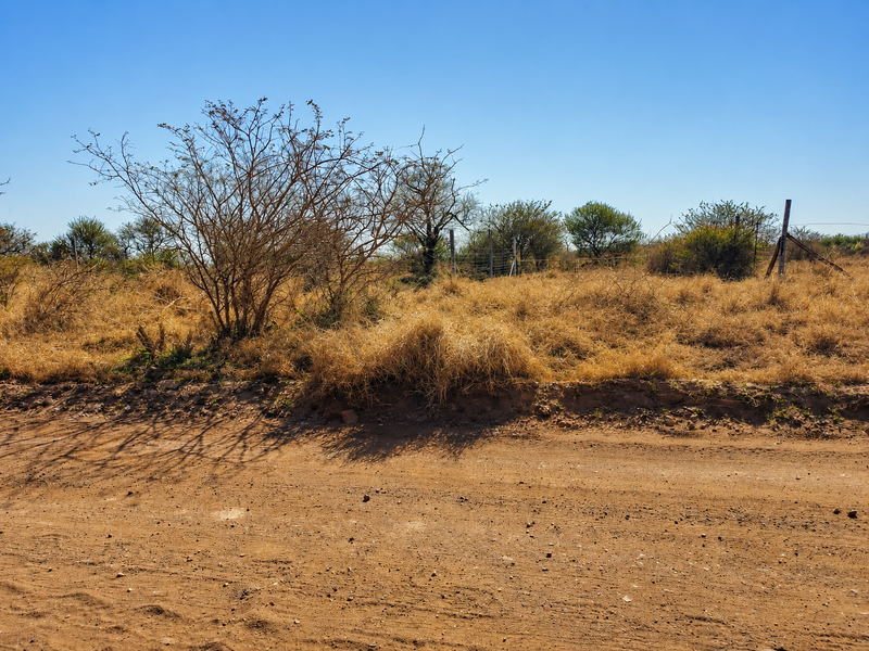 A view of the property boundary from the adjacent dirt road, featuring natural vegetation and wire fencing.