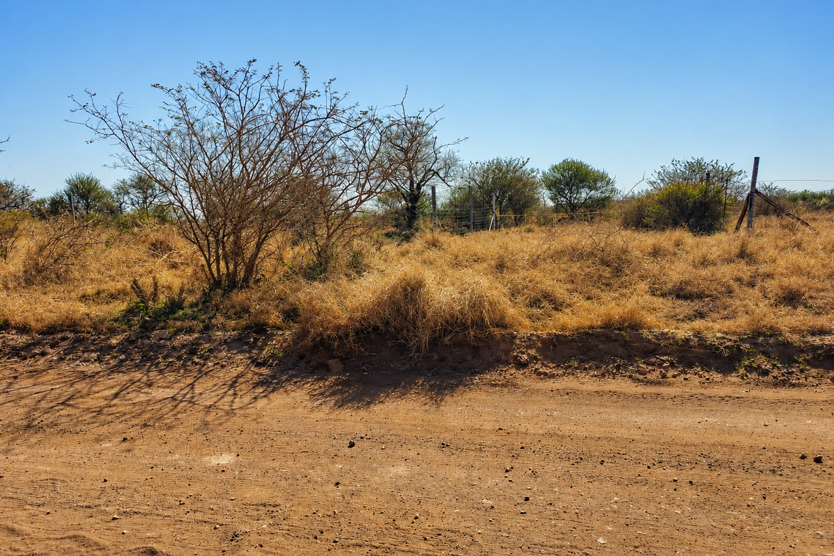 A view of the property boundary from the adjacent dirt road, featuring natural vegetation and wire fencing.