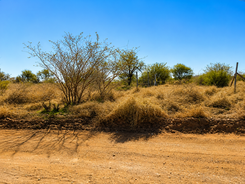A view of the farm property boundary featuring a dirt road and wire fencing along the perimeter.
