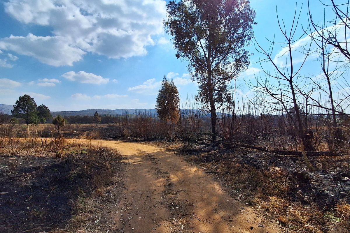 A view of a vacant commercial land plot featuring a dirt access road and natural vegetation showing signs of recent fire damage.