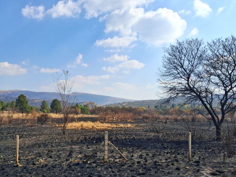 Strategic 4.2-Hectare Development Opportunity – Waterkloof | R24 Corridor - Photo 5