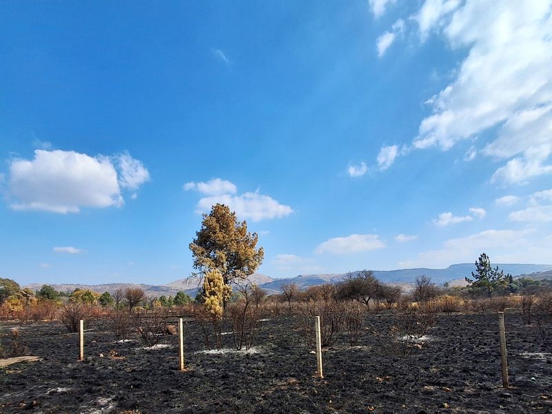 Strategic 4.2-Hectare Development Opportunity – Waterkloof | R24 Corridor - Photo 9