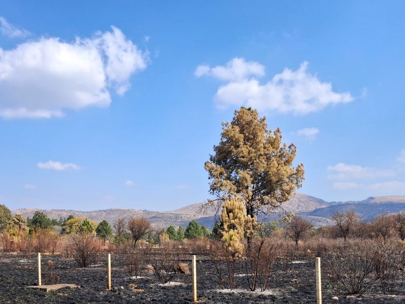 Strategic 4.2-Hectare Development Opportunity – Waterkloof | R24 Corridor - Photo 8