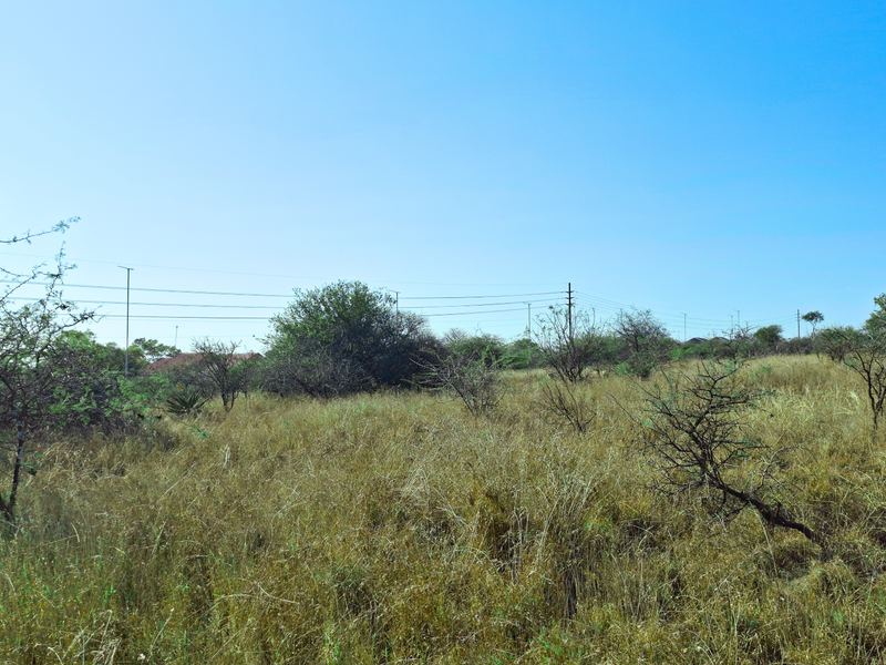 A view of a vacant commercial land plot featuring natural vegetation, dry grass, and overhead utility infrastructure.