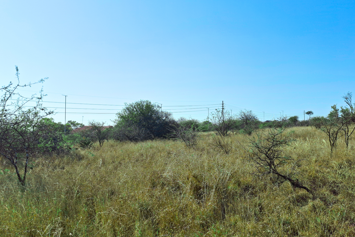 A view of a vacant commercial land plot featuring natural vegetation, dry grass, and overhead utility infrastructure.