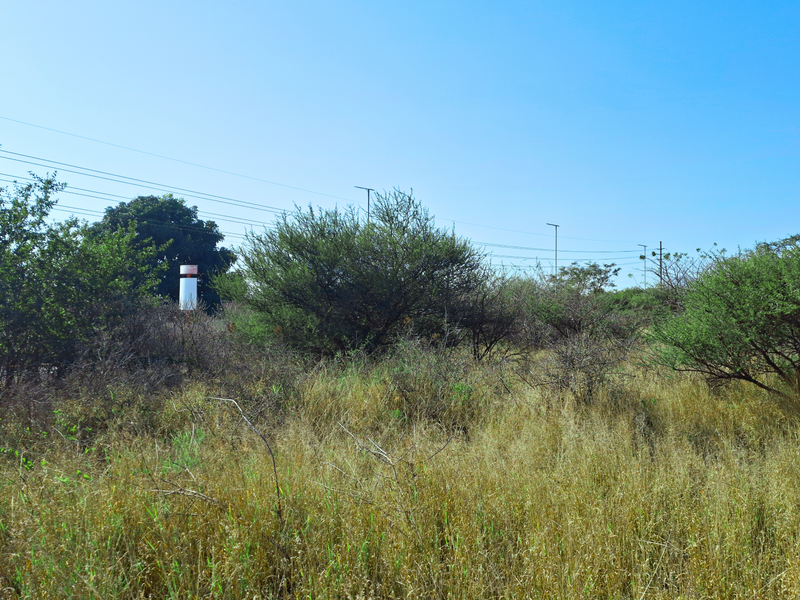 A view of the vacant commercial land featuring natural vegetation, tall grass, and overhead utility infrastructure.