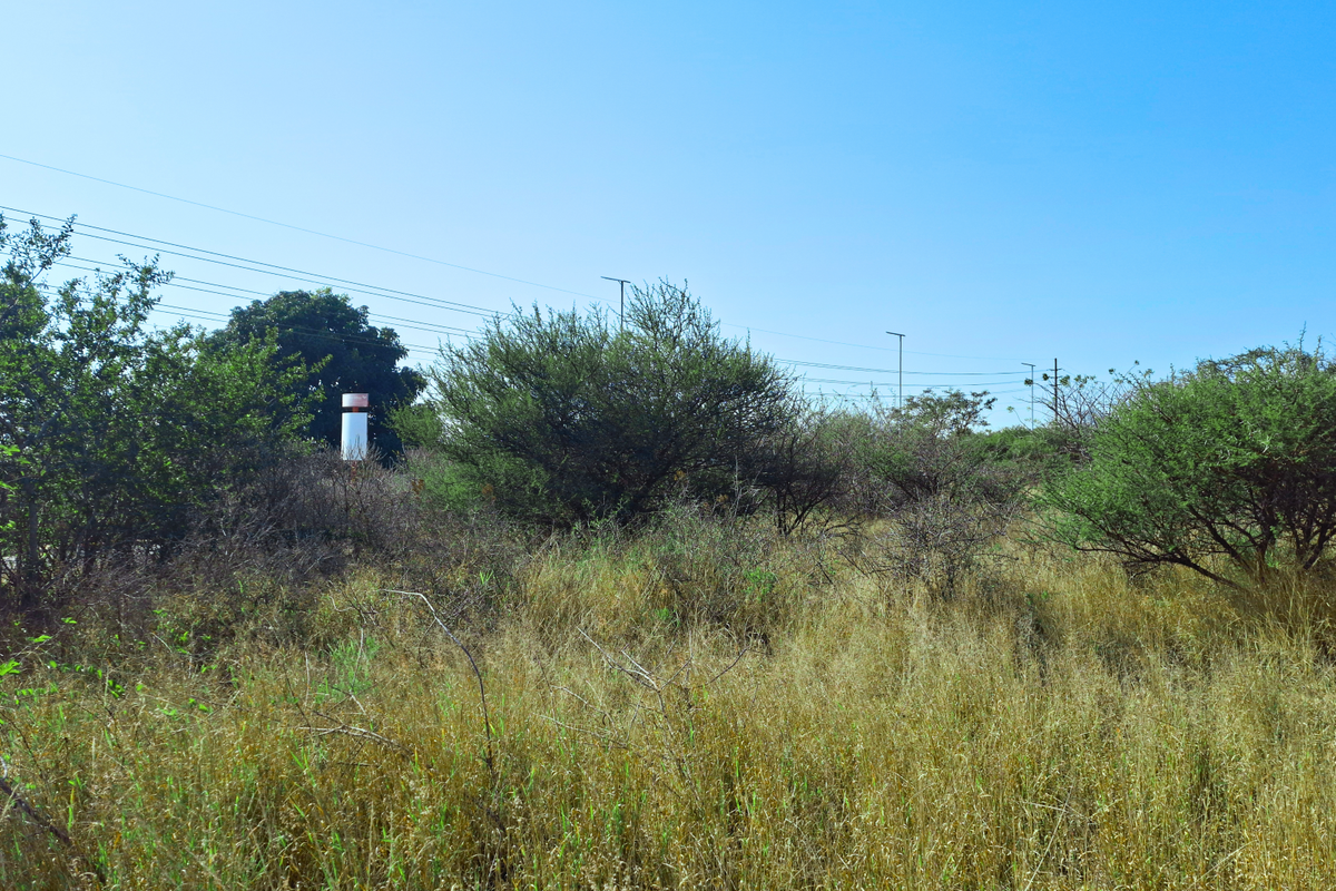 A view of the vacant commercial land featuring natural vegetation, tall grass, and overhead utility infrastructure.
