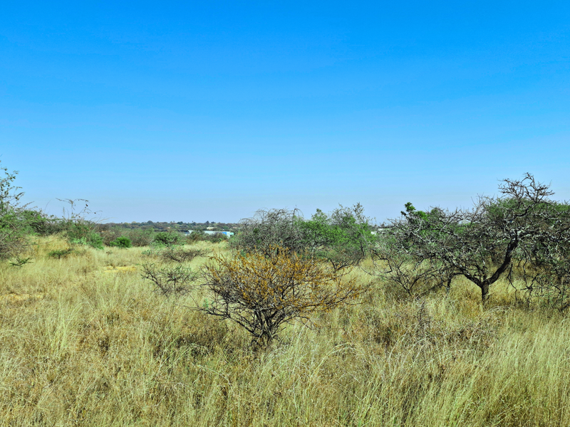A view of a vacant commercial land plot featuring natural grass and native shrubbery under a clear blue sky.