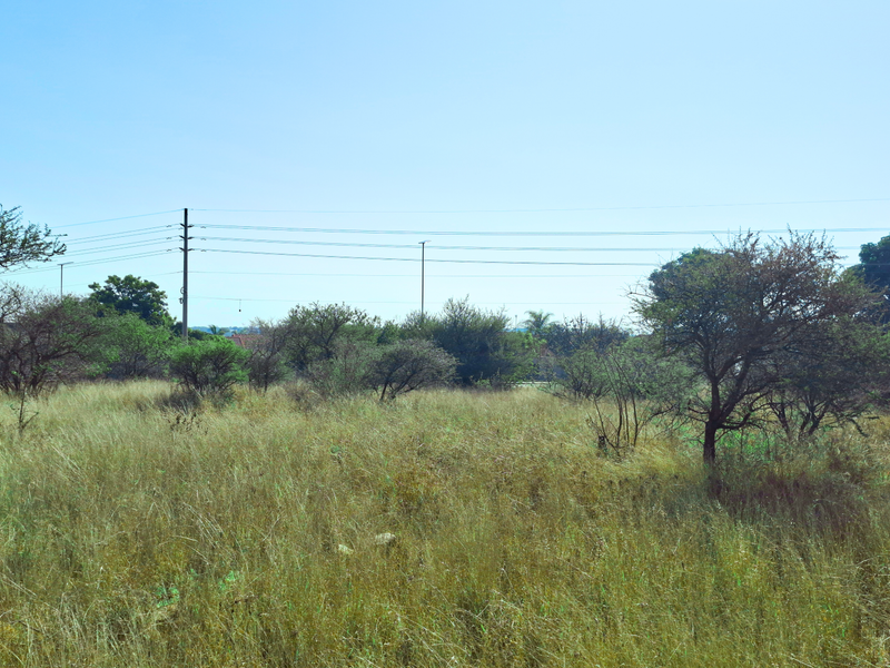 A view of a vacant commercial land plot featuring natural vegetation and overhead utility infrastructure.