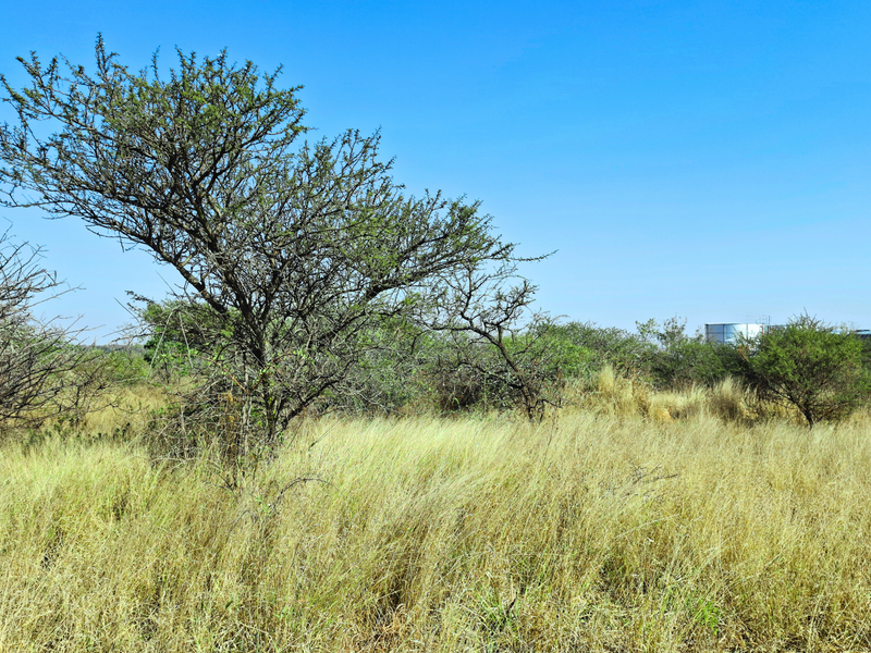 A view of an undeveloped commercial vacant land plot featuring native vegetation and grass, with neighboring commercial infrastructure visible in the distance.