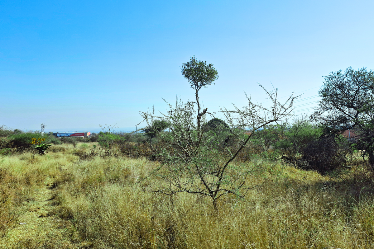 A view of an undeveloped commercial vacant land plot featuring natural grass and indigenous trees under a clear blue sky.