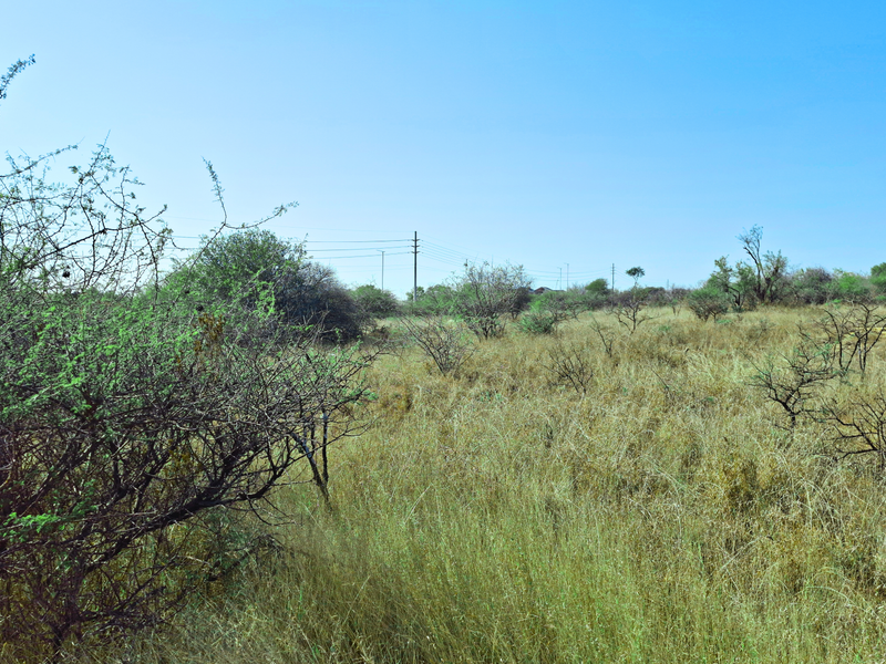 An undeveloped commercial land plot featuring natural vegetation and visible overhead power lines.