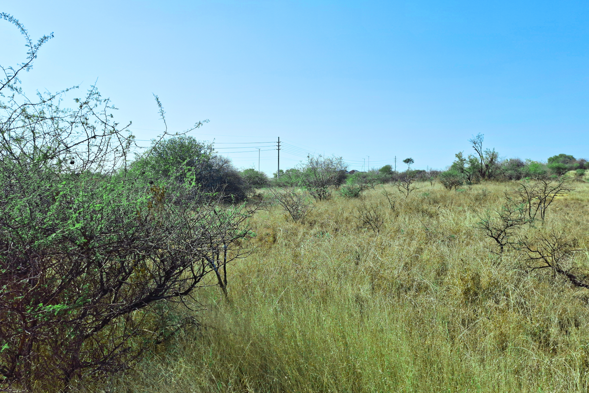 An undeveloped commercial land plot featuring natural vegetation and visible overhead power lines.