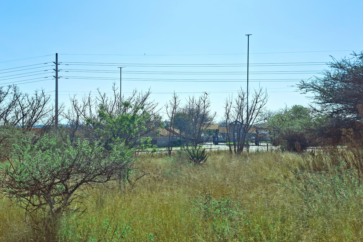 A view of a vacant commercial land plot featuring natural vegetation, utility poles, and overhead power lines.