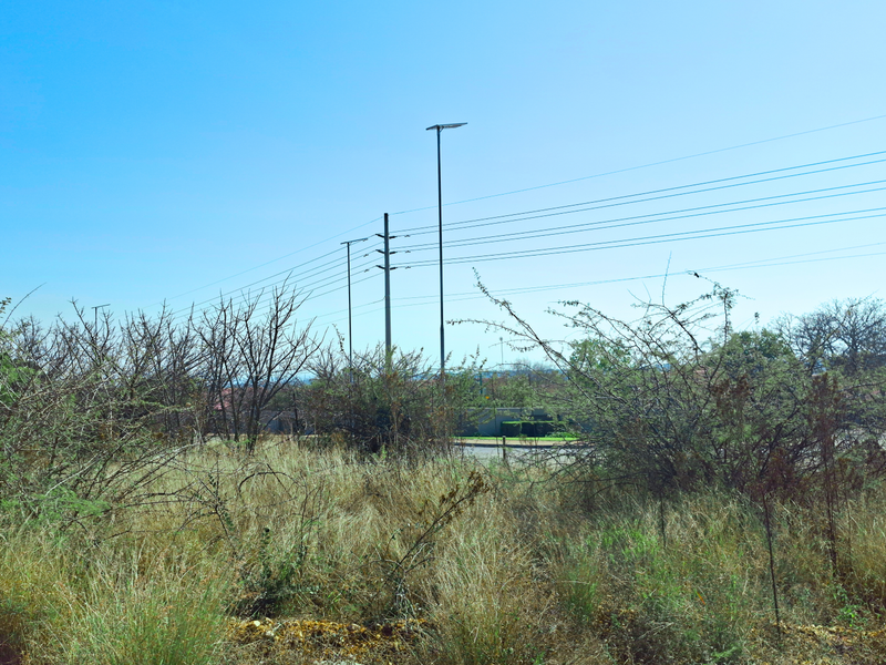 A view of a vacant commercial land plot featuring natural vegetation, utility poles, and overhead power lines.