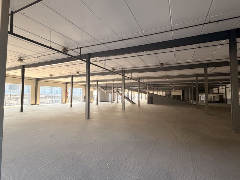 Expansive open-plan commercial space featuring industrial steel columns, suspended ceilings, and large windows, offering a versatile layout for various business operations.