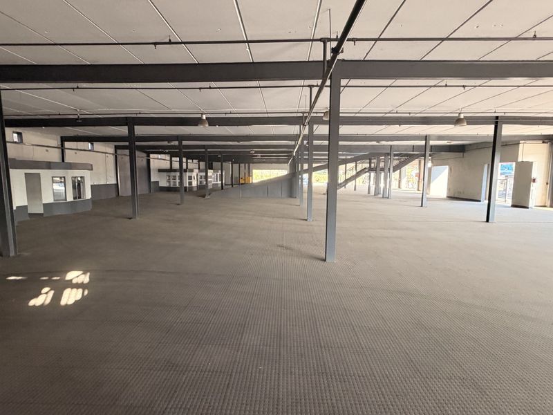 Expansive open-plan commercial space featuring exposed steel structural columns, industrial flooring, and integrated office partitions, suitable for versatile business operations.