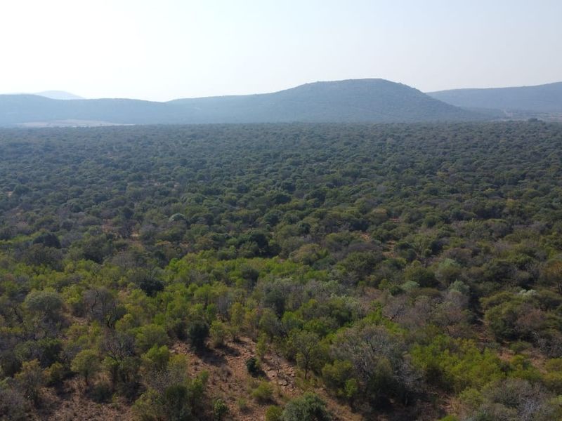 An expansive aerial view of the natural landscape, featuring dense indigenous bushveld and rolling hills in the distance.
