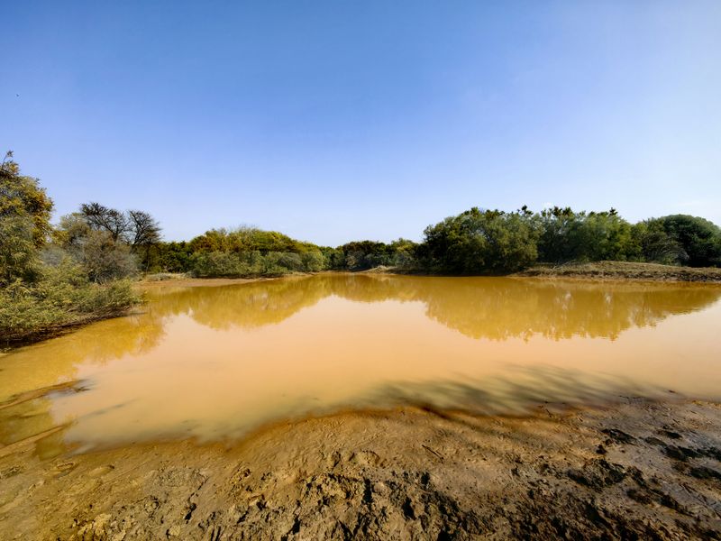 A scenic view of a natural farm dam surrounded by indigenous trees and vegetation, typical of the local landscape.