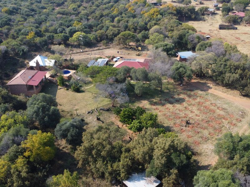 Aerial view of a rural farm property featuring multiple buildings, a swimming pool, solar panel installation, and an established orchard area.