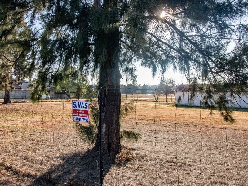 A view of an open, undeveloped commercial land plot featuring wire mesh fencing and mature trees.