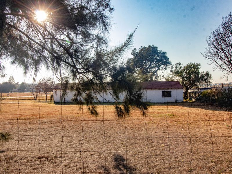 A view of a single-story commercial structure set back on a large, dry grass lot, enclosed by wire mesh fencing.