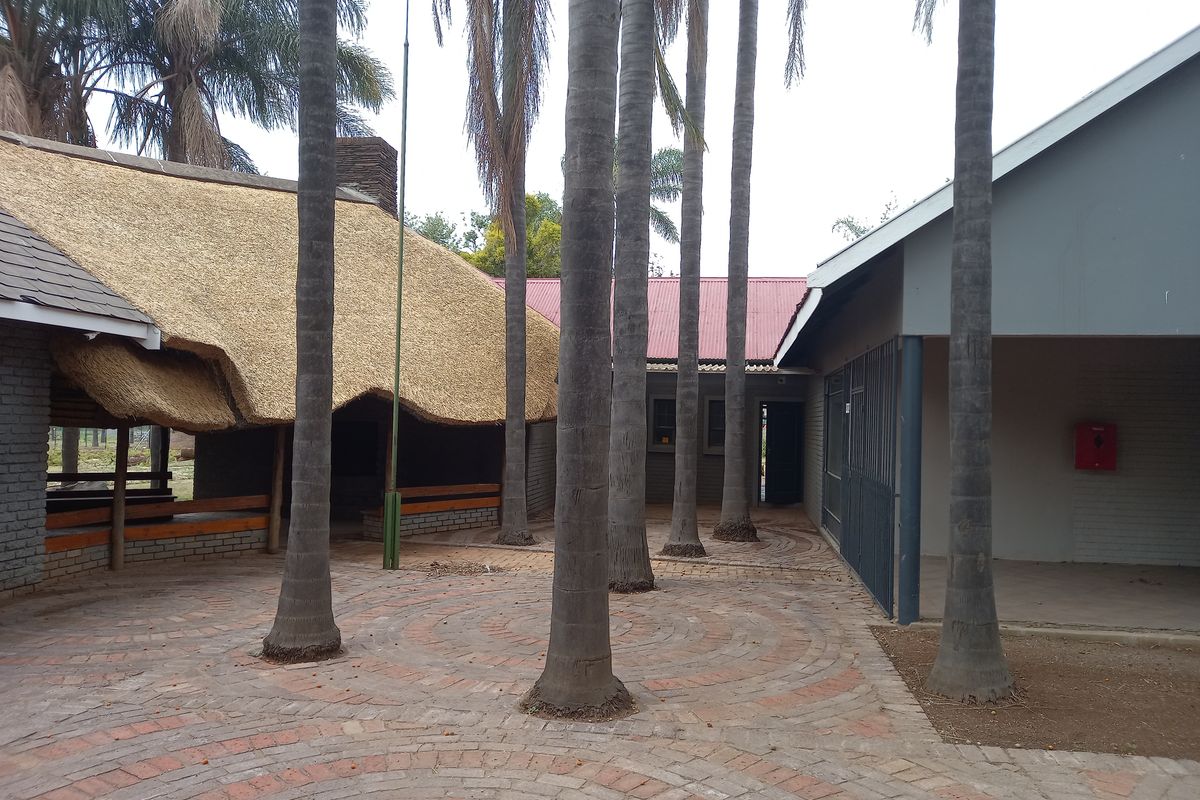 A courtyard area featuring a combination of thatched and metal roofing, brick paving, and mature palm trees, providing a functional outdoor space.