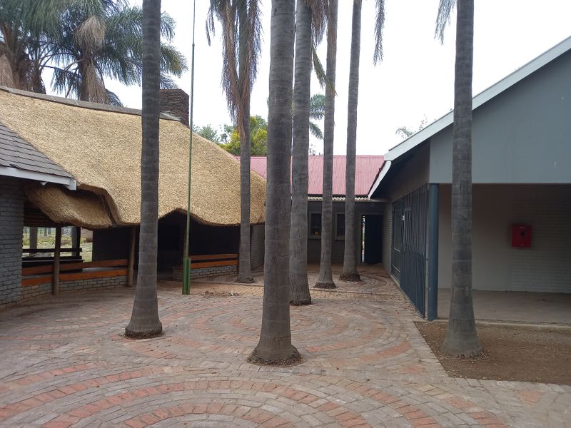 A courtyard area featuring a combination of thatched and metal roofing, brick paving, and mature palm trees, providing a functional outdoor space.