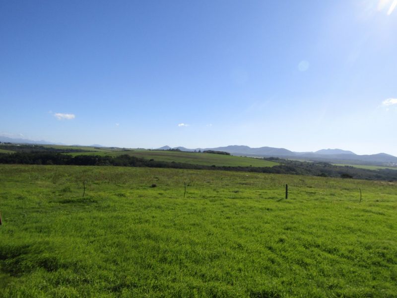Expansive rural landscape view featuring rolling green pastures and distant mountain ranges under a clear blue sky.