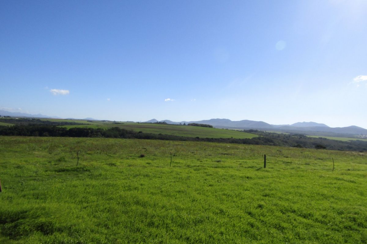 Expansive rural landscape view featuring rolling green pastures and distant mountain ranges under a clear blue sky.