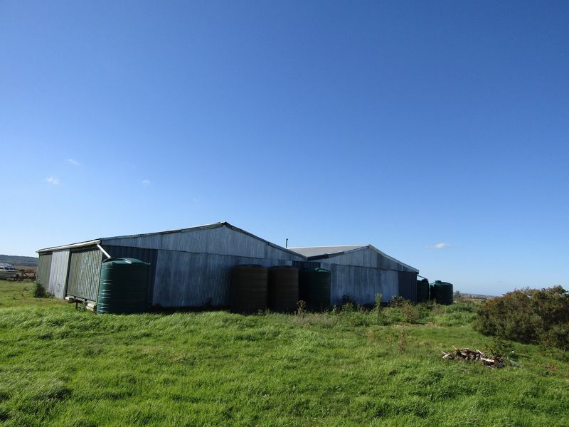 A large agricultural shed featuring corrugated metal cladding and multiple external water storage tanks situated on a rural farm property.