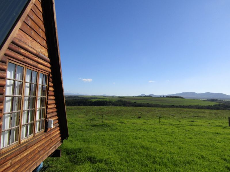 A scenic view of the expansive green farm landscape and distant mountains, captured from the side of a rustic log cabin structure.