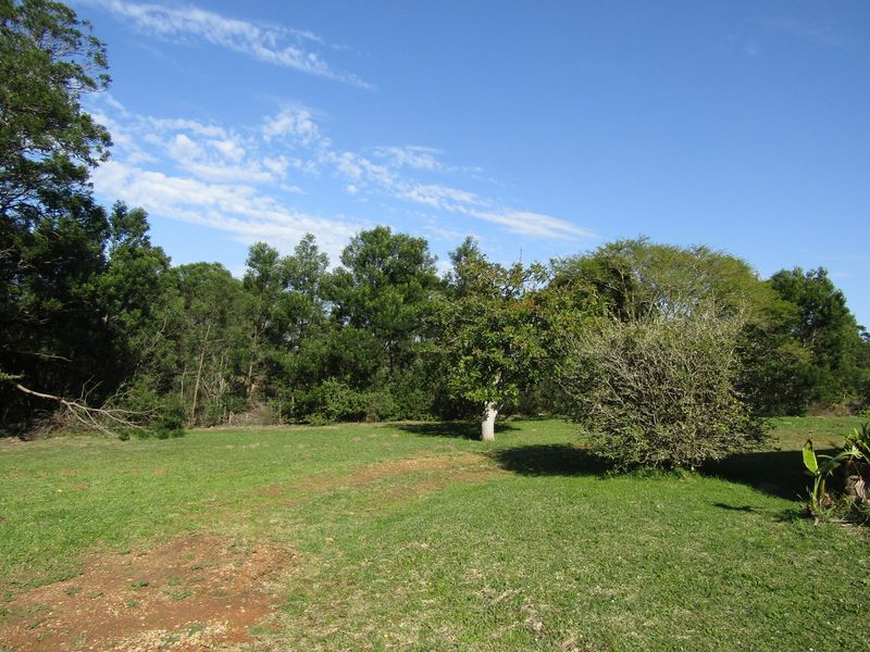 Prime Commercial Property - Photo 9
