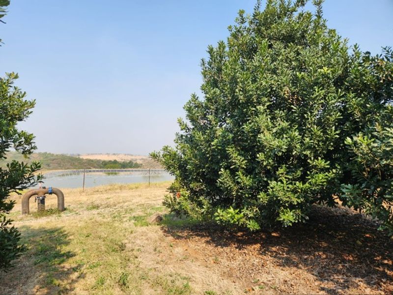 A view of the farm landscape featuring a dam, irrigation infrastructure, and established trees on the property.