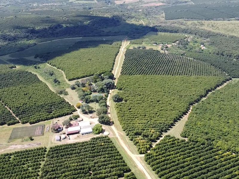 An expansive aerial view of a large-scale farm featuring extensive orchards, agricultural land, and a central cluster of farm buildings and access roads.