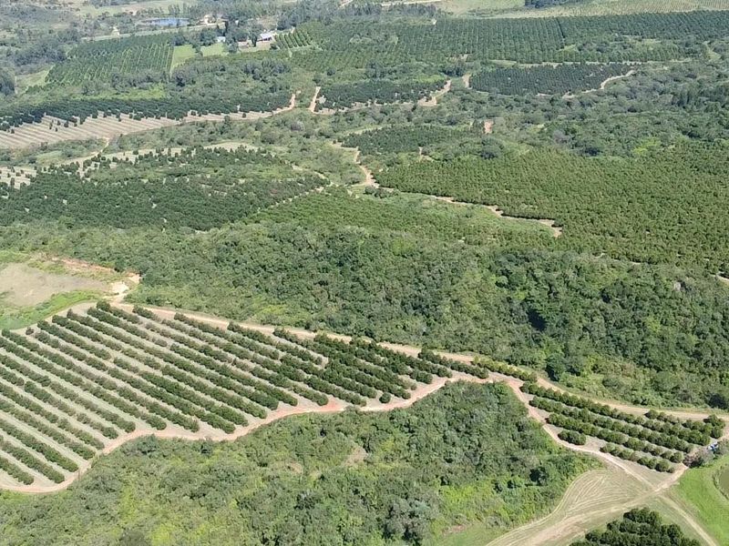 An aerial view of a large farm property featuring extensive established orchards, internal farm tracks, and a small dam.
