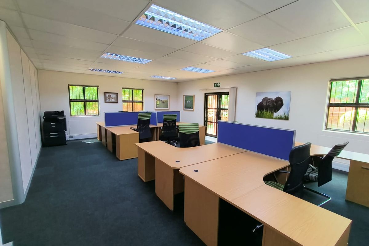 A functional office space featuring suspended ceilings, recessed lighting, and large windows with security bars, providing a professional work environment.