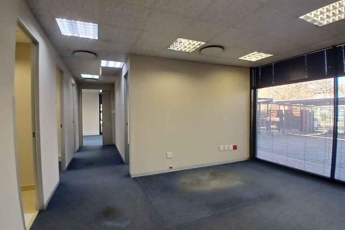 An empty office space featuring a suspended ceiling, recessed lighting, and large windows with blinds, showing signs of wear on the carpet flooring.